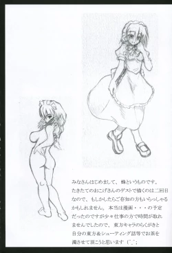 Page 16 of Touhou Reverse Vector Book, Falling to Earth