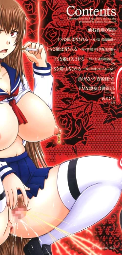 Page 3 of Do S na Hime wa Kegasareru