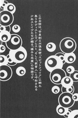 Page 10 of SpitFire Classic