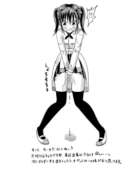 Page 21 of Himeko no nyou shikkin!!