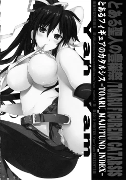 Page 13 of Toaru Figure no Catharsis