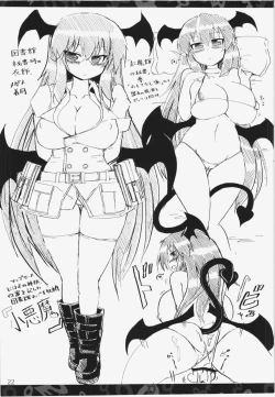 Page 22 of Nitorin H Shiryoushuu