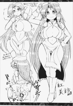 Page 23 of Nitorin H Shiryoushuu