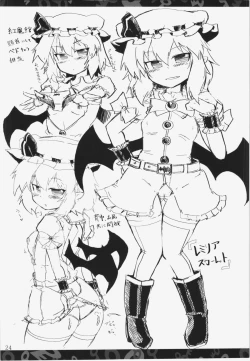 Page 24 of Nitorin H Shiryoushuu