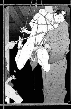 Page 253 of Training Dog