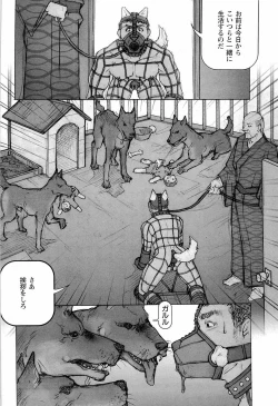 Page 88 of Training Dog