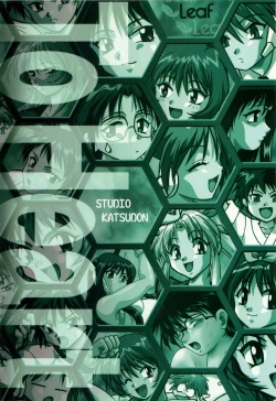 Page 210 of ToHeart Soushuuhen