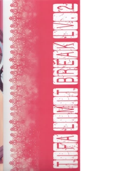 Page 33 of TIFA LIMIT BREAK LV.2