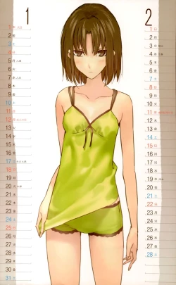 Page 2 of 2009 Type-Moon Calendar