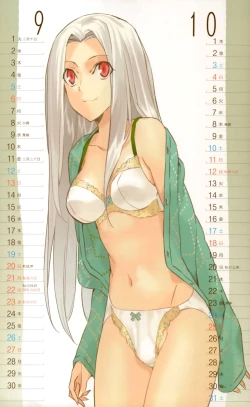 Page 6 of 2009 Type-Moon Calendar