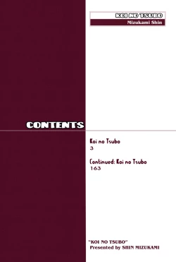 Page 4 of Koi no Tsubo