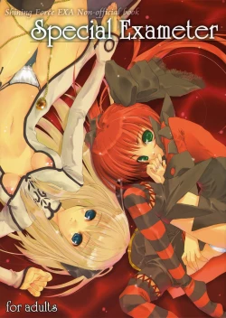 Page 1 of Special Exameter