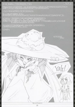 Page 24 of Special Exameter