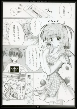 Page 16 of Riesz no Iru Nichijou 3