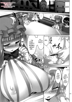 Page 3 of Patchouli wo Munimuni Suru Hon