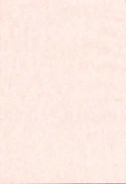 Page 2 of Yoru no Tenshi