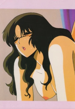 Page 46 of Gal's Anime Adult Video Catalog PART1