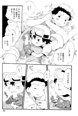 Page 29 of Seishun 18 Kin Kippu