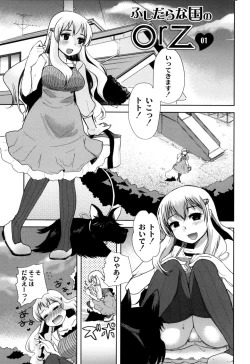 Page 8 of Fushidarana Kuni no ORZ