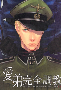 Download 愛弟完全調教