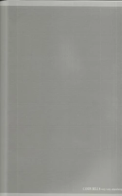 Page 3 of CANDY BELL 8