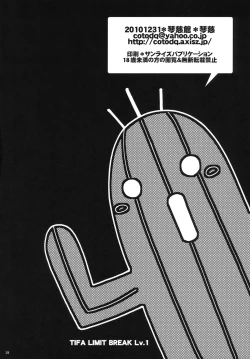Page 17 of TIFA LIMIT BREAK Lv.1