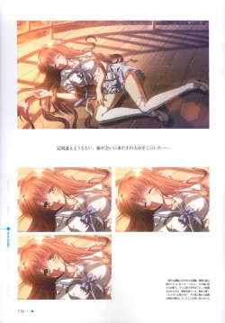 Page 102 of Natsuzora no Perseus Visual Fan Book