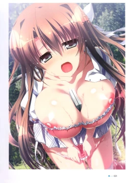 Page 22 of Natsuzora no Perseus Visual Fan Book