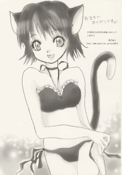 Page 22 of NYAA COMPLEX