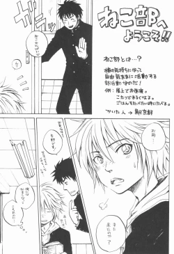 Page 24 of Shounen Curry Lunch