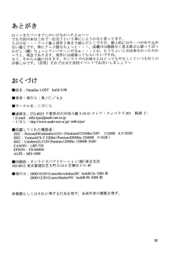 Page 31 of Paradise LOST build 0.9b