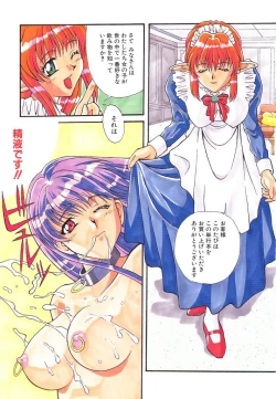 Page 4 of Gokkun Prease