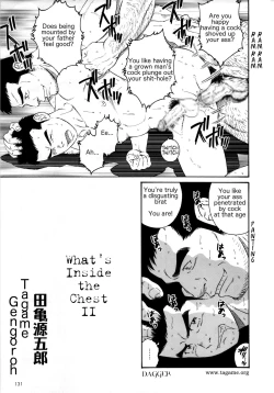 Page 17 of What's inside the chest