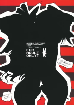 Page 22 of Hakurei Flight Night