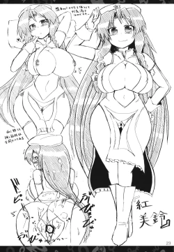 Page 22 of Nitorin H Shiryoushuu