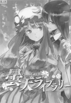 Page 2 of Cloudy Sky Library