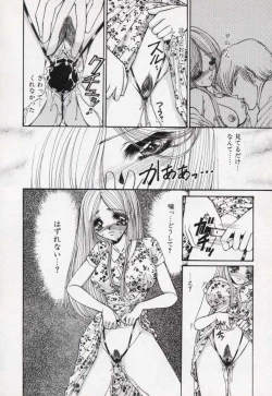 Page 31 of Kin Shin Sou Kan