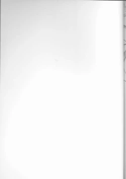 Page 2 of Toaru Misaka no Shouhi Denryoku