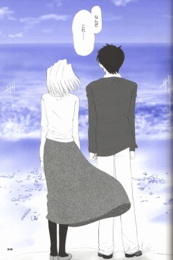 Page 29 of BLUE WIND