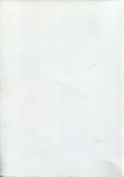 Page 27 of Oyurushi Master