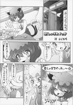 Page 39 of Dairansai