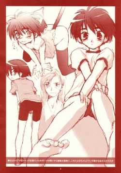 Page 5 of RANGE 0.01a A STEREORANGE PRODUCT