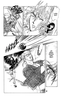 Page 20 of Midnight panther 2