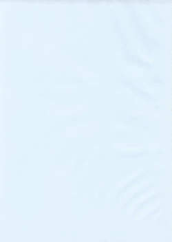 Page 23 of Puchi  Petit