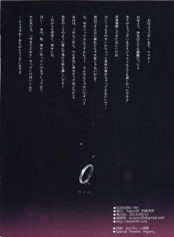 Page 17 of SORAIRO 4th