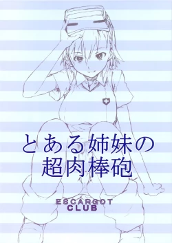 Page 18 of Toaru Kyoudai no Chounikubojuu