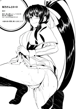 Page 26 of Akeno-san to DxD
