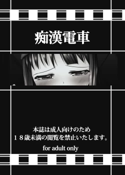 Page 28 of Chikan Densha