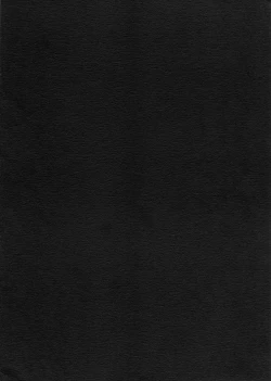 Page 12 of Rumia-chan Tsukamaeta!