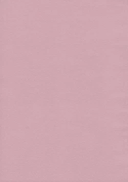 Page 2 of TOHO N+ prver